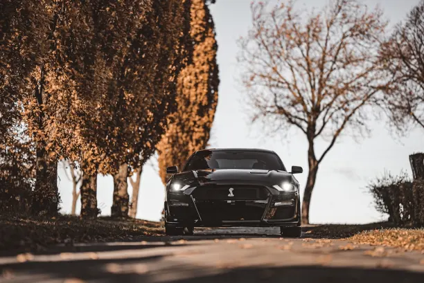 Казино Лайън Уинс Android/iOS приложение